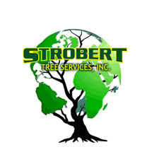 Strobert Tree Services