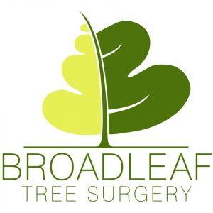 Broadleaf Tree Surgery LTD 