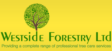 Westside Forestry Ltd