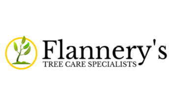 flannerys tree care