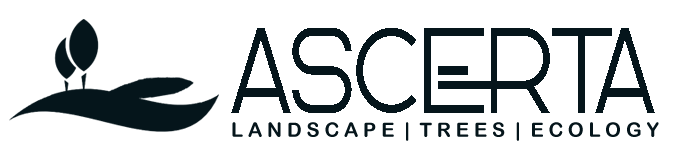 Ascerta