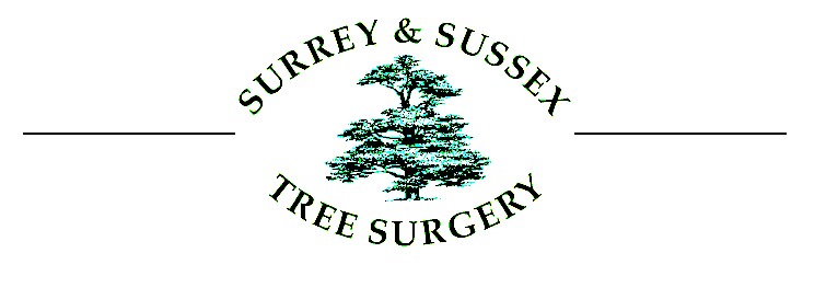 Surrey & Sussex Tree Surgery