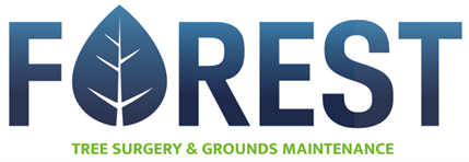 Forest Tree Surgery & Grounds Maintenance