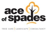 Ace of Spades Garden Ltd