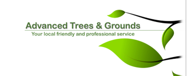 Advanced Trees and Grounds Ltd