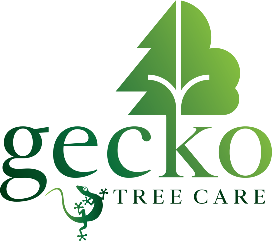 Gecko Tree Care