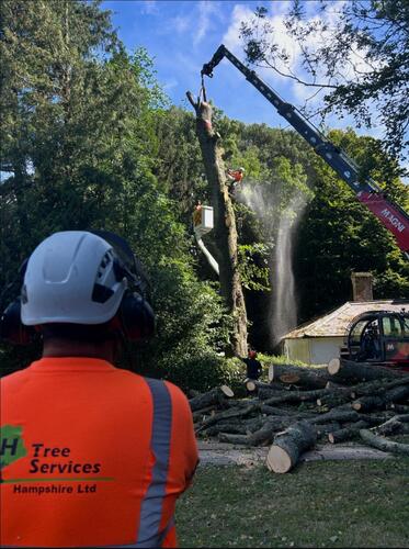 JH Tree Services Hampshire Ltd