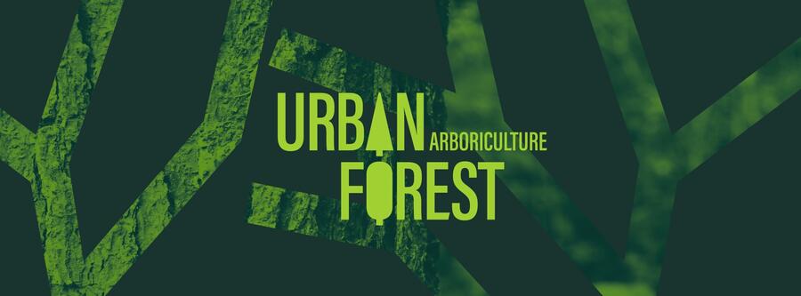 Urban Forest Arboriculture