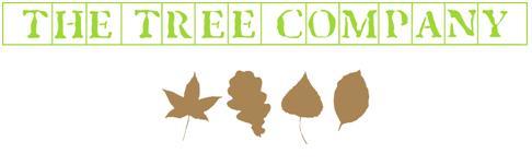 The Tree Company (London) Ltd 