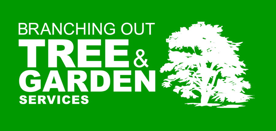 Branching Out