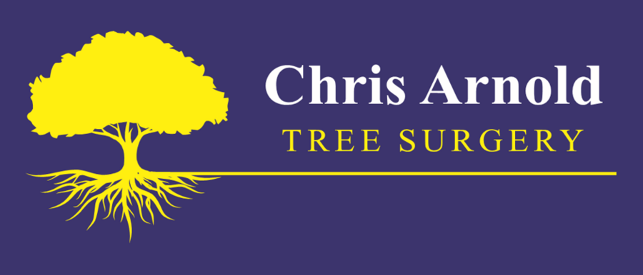 Chris Arnold Tree surgery 