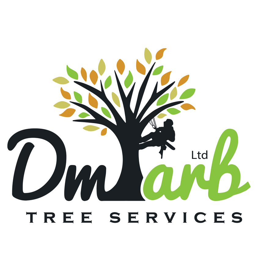 DM Arb Limited
