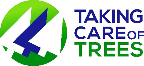 Taking Care of Trees