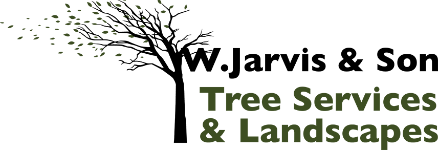 W Jarvis & Son Tree Services & Landscapes