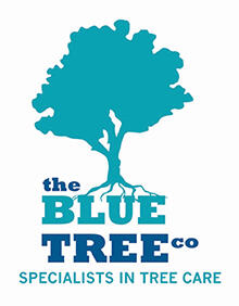 The Blue Tree Company