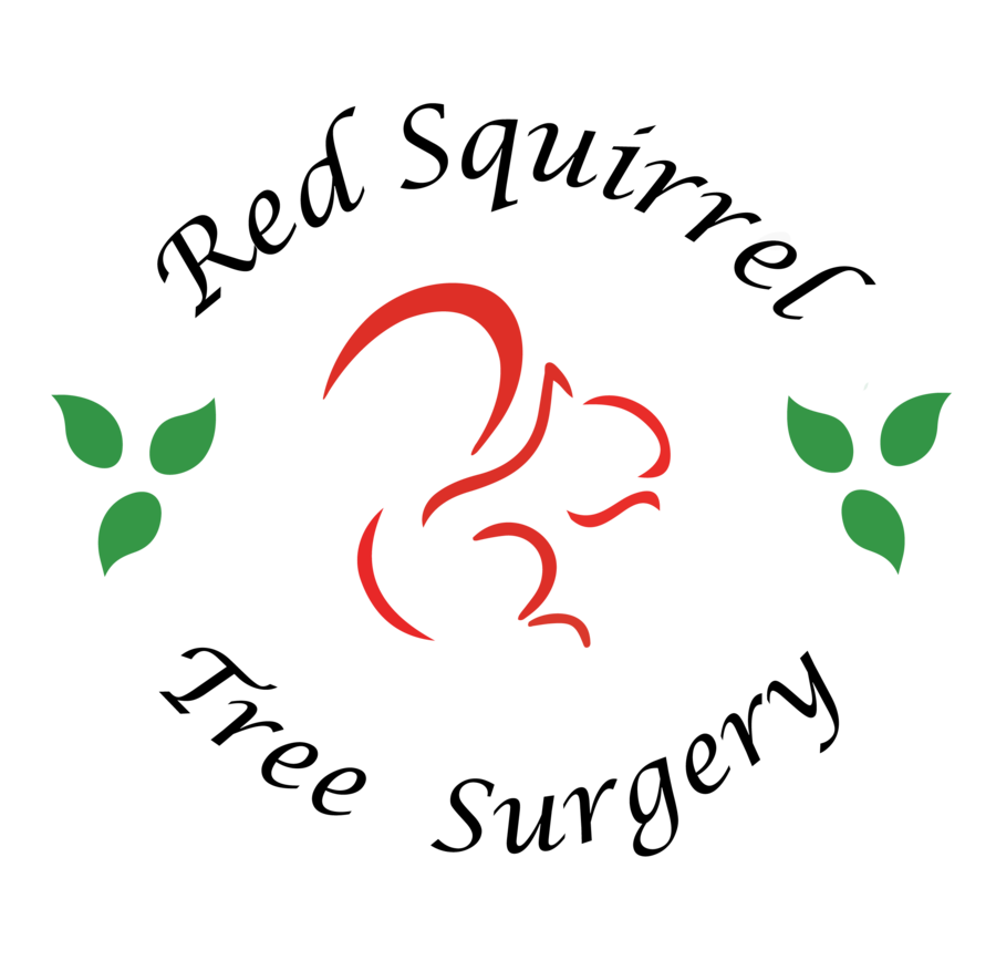 Red Squirrel Tree Surgery Ltd