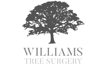 Williams Tree Surgery