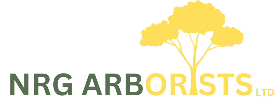 NRG Arborists Ltd