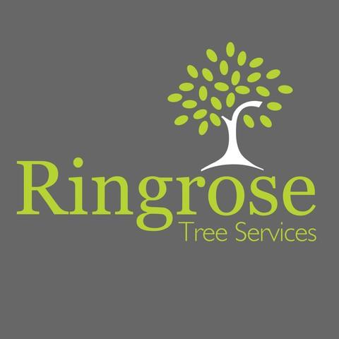 Ringrose Tree Services Ltd