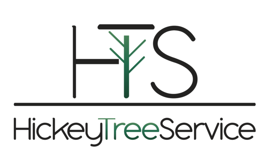 Hickey Tree Service Pty Ltd