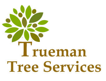 Trueman Tree Services Ltd