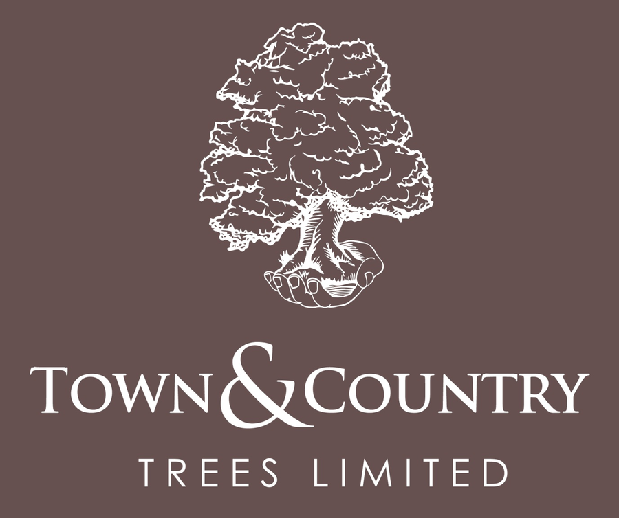 Town & Country Trees Ltd