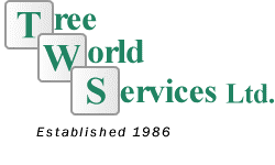 Tree World Services Ltd