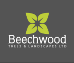 Beechwood Trees and Landscapes Ltd